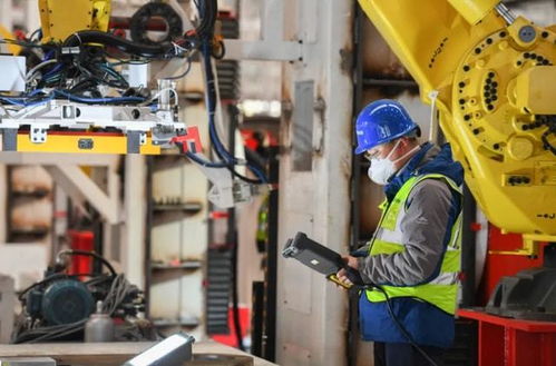 專科畢業(yè)生的職業(yè)流向 數(shù)據(jù)揭示主流去向，過來人分享真實(shí)體會(huì)