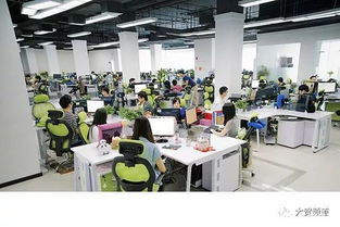 蘭州 在科技浪潮中尋覓軟件開發之路